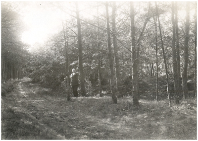 148350 Buikheide - bos & heidegebied. ca, ca. 1930