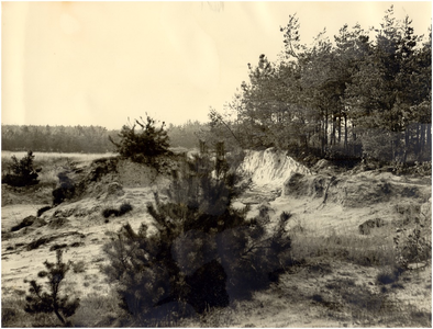148358 Buikheide - bos & heidegebied. ca, ca. 1960