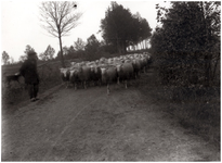 149944 Natuurgebied in de buurt Hanevoet. Oude situatie begin 20e eew, landelijke omgeving Gestels Broek . Hier staat ...