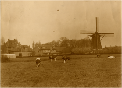 188043 De windmolen van van Stekelenburg, z.j.