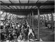 188120 Een onderdeel van het productieproces van N.V. Sigarettenfabriek: het rollen van sigaren, 1900 - 1910