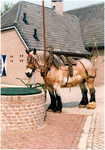 188249 Paard met juk voor het Jan Visser Museum, 1975 - 1985