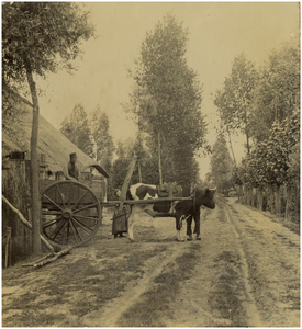 188698 Agrarisch landschap: koe en wagen bij boerderij, 1880 - 1910