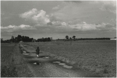 193241 Wandelen in de omgeving van de Oude Bossche Baan. Op de achtergrond boerderij De Spaaihoef, Oude Bossche Baan 4, 1961