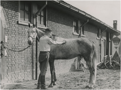 195098 Ruiter borstelt paard, 09-1937