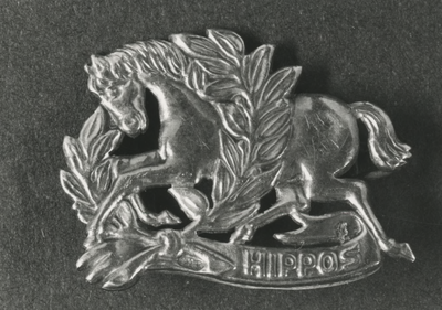 195622 Verenigingsspeldje van Paardrijclub Hippos, 1989