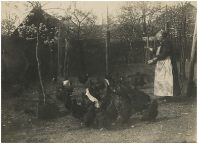 220759 Het voeren van de kippen door Petronella Bartholomeus op het erf achter haar boerderij, 1925