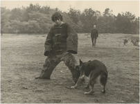 250994 Het aanvallen van een persoon in beschermpak, door politiehond Kay, 11-1976