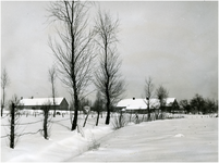 252102 Winteropname van Poeijers, 14-01-1955