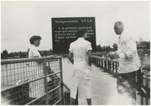 252643 Een serie van 3 foto's betreffende de reddingsbrigade van zwembad De IJzeren man , 1954