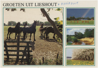 253003 Collage van 4 foto's waarop: 1. Paarden in de wei, 2. koeien in de wei met regenboog, 3. zandafgravind met beek, ...