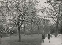 193610 Elzentpark, 04-1940