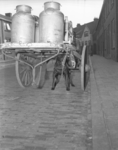 254954 Hond onder volgeladen kar met melkbussen (melksteupen) , 04-1949