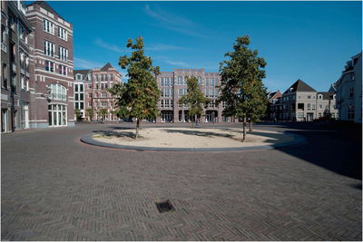 220564 Impressie woningbouw wijk Brandevoort, 2000 - 2009