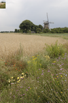 220489 Agrarische omgeving: landbouwgrond met op de achtergrond de korenmolen Johanna-Elisabeth, Molenhuisweg 4a, 07-2007