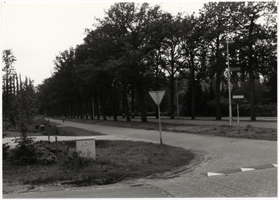 100259 Aarle-Rixtelseweg, gezien vanaf de hoek Horst (links) in de richting 'Aarle-Rixtel', 30-06-1987
