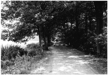 100504 Barrierweg, gezien vanaf de hoek met de 'Goorwal' in de richting van natuurgebied 'Groot Goor', 24-08-1984