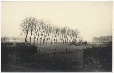 100748 Binderen, gezien vanaf de boerderij van Kuijpers in noordelijke richting. De bomenrij links ligt aan het pad ...
