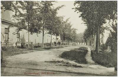 101235 Prins Hendriklaan (later Caroluslaan), gezien vanaf de Mierloseweg. Op de voorgrond en de tramrails van de ...