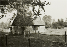 101646 Eenselaar 2. Paardenstal bij woonhuis. Op de achtergrond de Warande, 06-09-1983