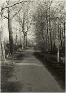 101775 Essehoutstraat, gezien in de richting sportpark De Beemd, 18-01-1988