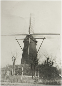 101831 Gerwenseweg. Windgraanmolen van C. Brouwers, 1905 - 1915