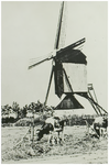 102472 Hoofdstraat. Windmolen. Koeien en melkster, 1942