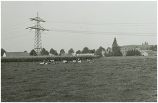 102780 Houtsestraat, gezien vanaf hoek 'Kromme Haagdijk' / 'Akkerweg'. Hoogspanningsmast, 28-08-1984