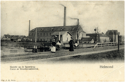 102998 Gezicht op de spoorbrug en cacaofabriek aan de Kanaaldijk Z.O. vanaf de Kanaaldijk N.W. De strohulzenfabriek ...