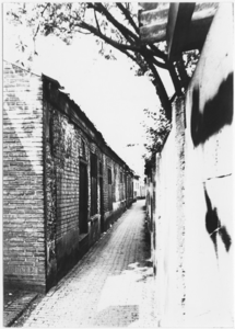 103455 Ketsegangske, gezien vanuit de richting 'Markt' in de richting 'Noord Koninginnewal'. Oude wevershuisjes, 30-04-1980