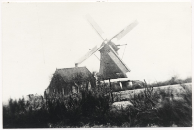 103542 Korenbloemstraat. De windgraanmolen van de molenaar de Vocht, z.j.