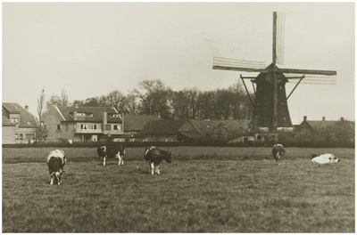 104882 Molenstraat, gezien vanuit de richting van de 'Tiendstraat'. Rechts: de windgraanmolen van Van Stekelenburg met ...