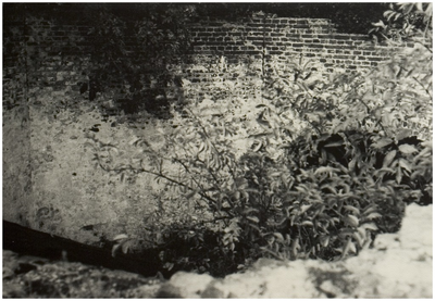 104928 Molenstraat. Molenring van de windgraanmolen van Van Stekelenburg, die stond tegenover de begraafplaats, 1972