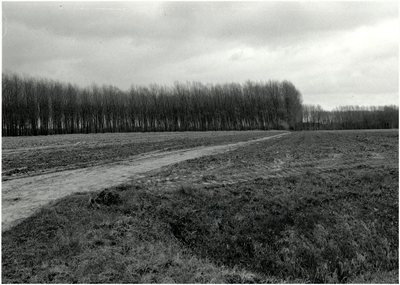 106200 Schevelingse pad, gezien vanuit de richting 'Aarle-Rixtelseweg' in de richting van de 'Kanaaldijk', 17-02-1988