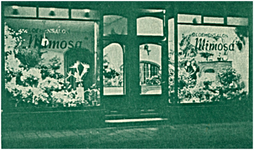 106693 Veestraat 43. Bloemenzaak Mimosa van de Gebroeders Niessen, 02-08-1946