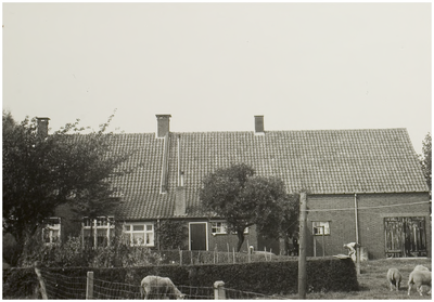 106886 Vlierdensedijk 5a. Achterzijde boerderij landbouwer Janus van Tilburg-Raijmakers. Afgebroken ten behoeve van de ...