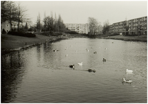 106928 Vondellaan, gezien vanuit de richting 'Uiverlaan'. Vijver, kort voor het dempen van het voorste deel ten behoeve ...