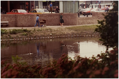 106933 Vondellaan gezien in de richting Wethouder Ebbenlaan, 07-1982