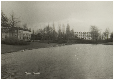 106941 Vondellaan met vijver. Op de achtergrond verzorgingshuis De Pannehoeve, 1985