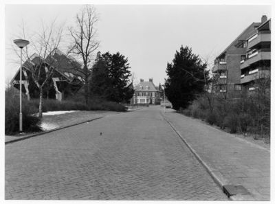 107575 Wilhelminalaan, gezien in de richting Prins Hendriklaan. Rechts residentie De Vuurdoorn, links de drie ...