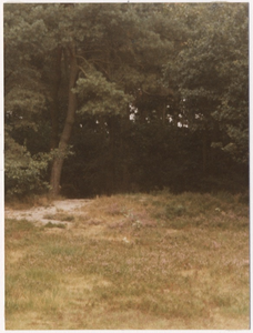 107793 Broederstuin aan de. Rijpelbergseweg. Gedeelte van genoemde tuin, 1975 - 1985