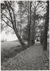 107804 Groenaanleg in de Bundertjes . Gezien in de richting Saxofoonstraat, rechts de huizen van de Meerkoetstraat, ...