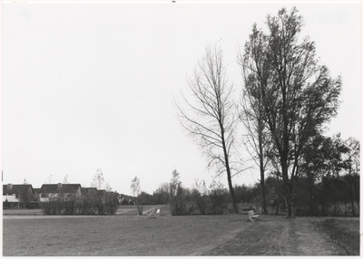 107811 Groenaanleg in de Bundertjes gezien vanaf de Aa. Richting Vogelwijk in de omgeving Meerkoetstraat ect, 08-11-1982