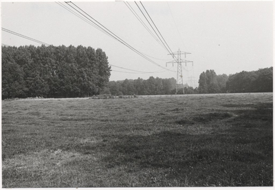 107819 'Natuurgebied 't Goor, gezien vanaf de Barrierweg, 28-08-1984