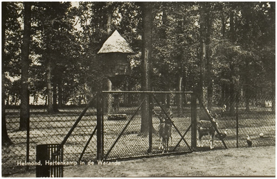 107984 Warande. Hertenkamp. Jan Visserpark. Gezien vanaf de Aarle - Rixtelseweg, 1952 - 1962