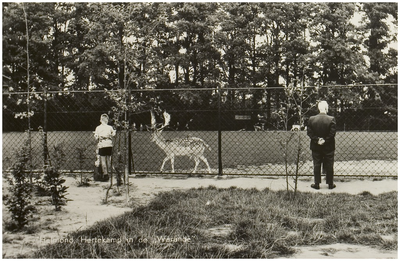 107993 Jan Visserpark, Warande, Hertenkamp, 1955 - 1965
