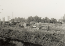 108084 Volkstuin Eerste Helmondse Volkstuinencomplex . Aan de Brouwhuissedijk, 08-1989