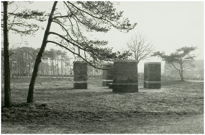 108486 Twentehof - Volderhof, Park Rijpelberg . Kunstwerk, 07-12-1984