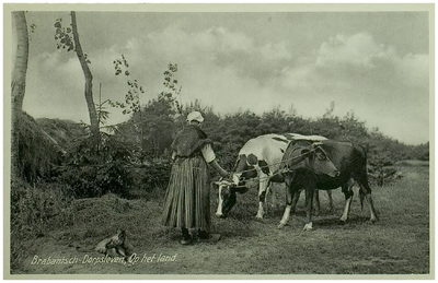 109288 Brabants Dorpsleven, 1914