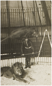 114881 Leeuwentemmer Carel Stevens met twee leeuwen in een kooi, 1935 - 1936